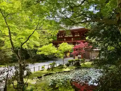 室生寺の{uncategorized: "未分類", other: "その他", undefined: "問題あり", building: "その他建物", grave: "お墓", sacred_gate: "鳥居", guardian: "狛犬", statue: "像", buddha: "仏像", history: "歴史", nature: "自然", garden: "庭園", animal: "動物", pagoda: "塔", temizu: "手水舎", mountain_gate: "山門・神門", sanctuary: "本殿・本堂", subordinate: "末社・摂社", art: "芸術", scenery: "景色", jizo: "地蔵", ema: "絵馬", goshuin: "御朱印", omikuji: "おみくじ", items: "授与品その他", amulet: "お守り", goshuincho: "御朱印帳", eats: "食事", festival: "お祭り", votive_dance: "神楽", shichigosan: "七五三参", wedding: "結婚式", experience: "体験その他", initially: "初詣", around: "周辺", anti_infection: "感染症対策"}