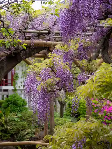 亀戸天神社(東京都)