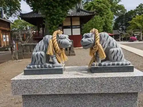 諏訪神社の狛犬