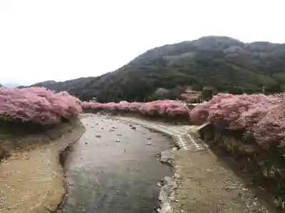 南禅寺(静岡県)