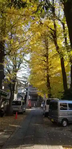 穏田神社の鳥居