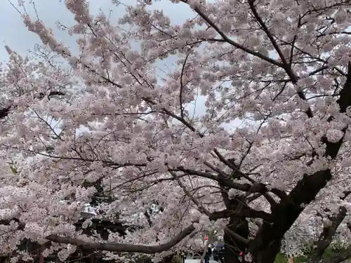 苦楽園口子安延命地蔵の自然