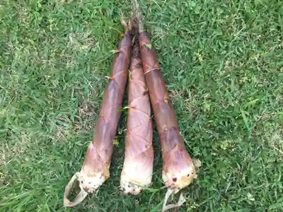 国宝 大法寺の食事