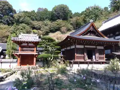 岡寺(龍蓋寺)(奈良県)