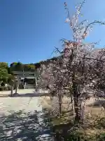 鶴羽根神社の{uncategorized: "未分類", other: "その他", undefined: "問題あり", building: "その他建物", grave: "お墓", sacred_gate: "鳥居", guardian: "狛犬", statue: "像", buddha: "仏像", history: "歴史", nature: "自然", garden: "庭園", animal: "動物", pagoda: "塔", temizu: "手水舎", mountain_gate: "山門・神門", sanctuary: "本殿・本堂", subordinate: "末社・摂社", art: "芸術", scenery: "景色", jizo: "地蔵", ema: "絵馬", goshuin: "御朱印", omikuji: "おみくじ", items: "授与品その他", amulet: "お守り", goshuincho: "御朱印帳", eats: "食事", festival: "お祭り", votive_dance: "神楽", shichigosan: "七五三参", wedding: "結婚式", experience: "体験その他", initially: "初詣", around: "周辺", anti_infection: "感染症対策"}