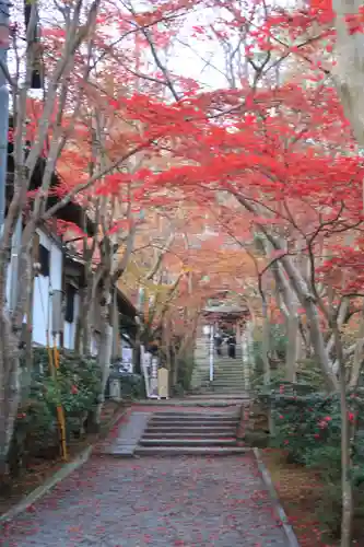 神峯山寺の自然