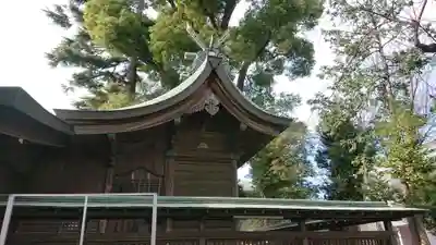 鳩ヶ谷氷川神社の本殿・本堂