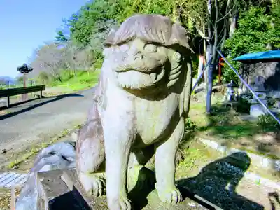 小幡八幡宮の狛犬