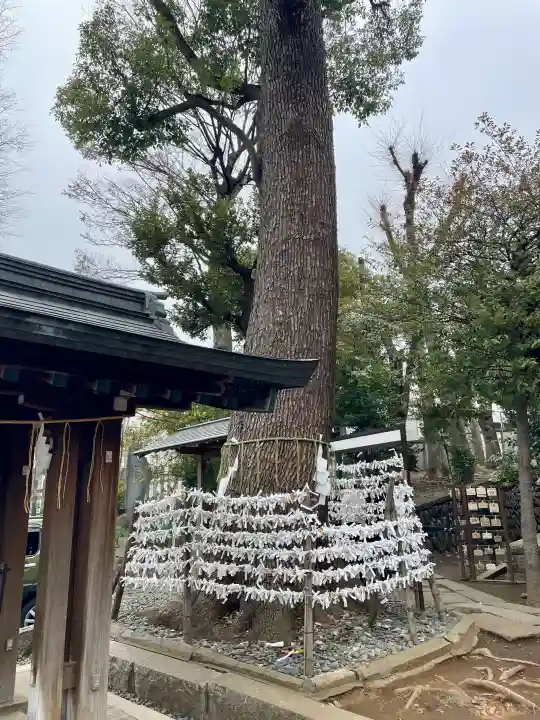 中目黒八幡神社の{uncategorized: "未分類", other: "その他", undefined: "問題あり", building: "その他建物", grave: "お墓", sacred_gate: "鳥居", guardian: "狛犬", statue: "像", buddha: "仏像", history: "歴史", nature: "自然", garden: "庭園", animal: "動物", pagoda: "塔", temizu: "手水舎", mountain_gate: "山門・神門", sanctuary: "本殿・本堂", subordinate: "末社・摂社", art: "芸術", scenery: "景色", jizo: "地蔵", ema: "絵馬", goshuin: "御朱印", omikuji: "おみくじ", items: "授与品その他", amulet: "お守り", goshuincho: "御朱印帳", eats: "食事", festival: "お祭り", votive_dance: "神楽", shichigosan: "七五三参", wedding: "結婚式", experience: "体験その他", initially: "初詣", around: "周辺", anti_infection: "感染症対策"}