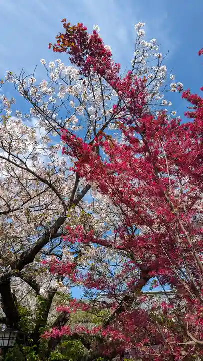 橋寺 放生院(京都府)