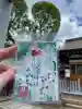 南宮宇佐八幡神社(脇浜神社)の御朱印