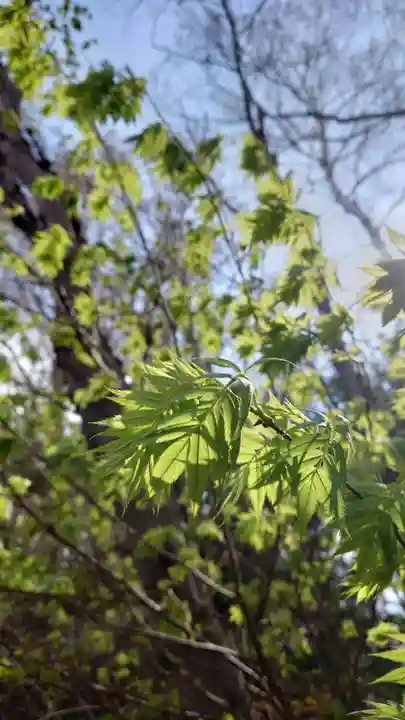 相馬神社(北海道)