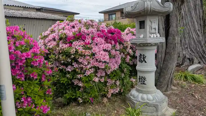 玉田神社(京都府)