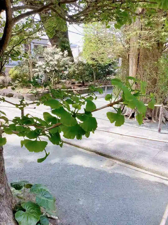 實相山 正法院(静岡県)