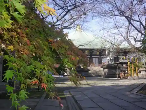 長勝寺のその他建物