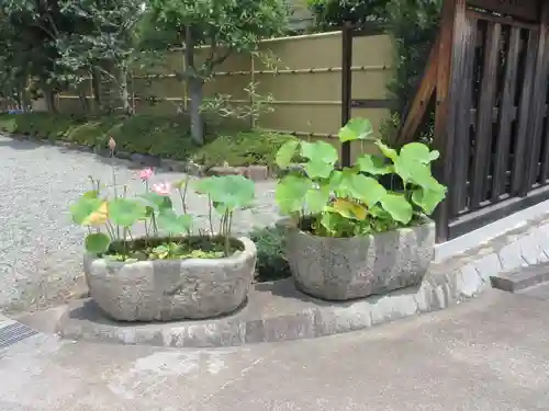 弘誓院(神奈川県)