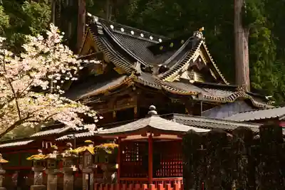 日光二荒山神社(栃木県)