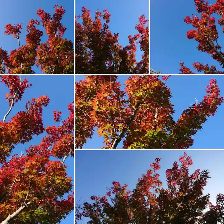 寿量山 速成寺の庭園