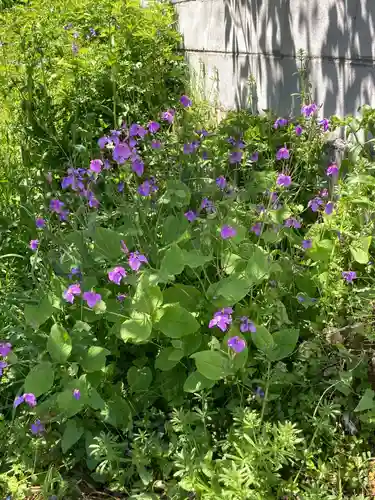 弁財天（下出縄）(神奈川県)