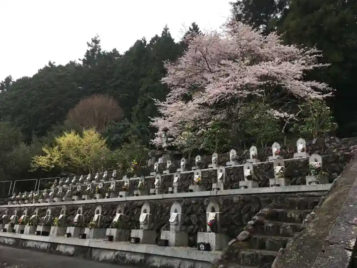 金剛城寺の自然