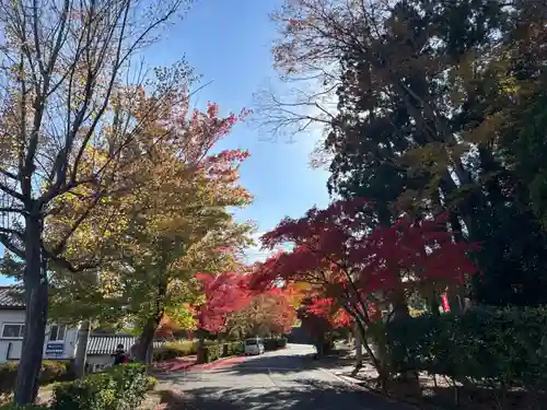 岡部春日神社～👹鬼門よけの🌺花咲く🌺やしろ～(福島県)