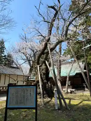 蠶養國神社(福島県)