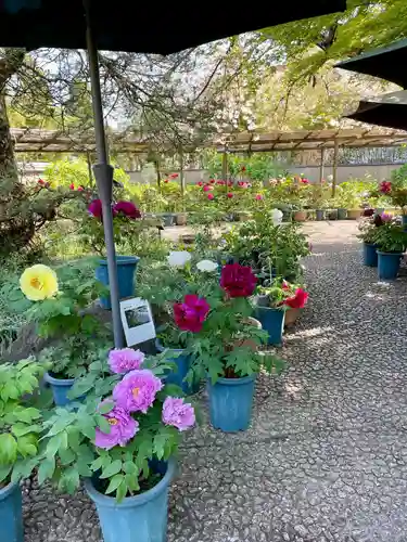 筥崎宮(福岡県)