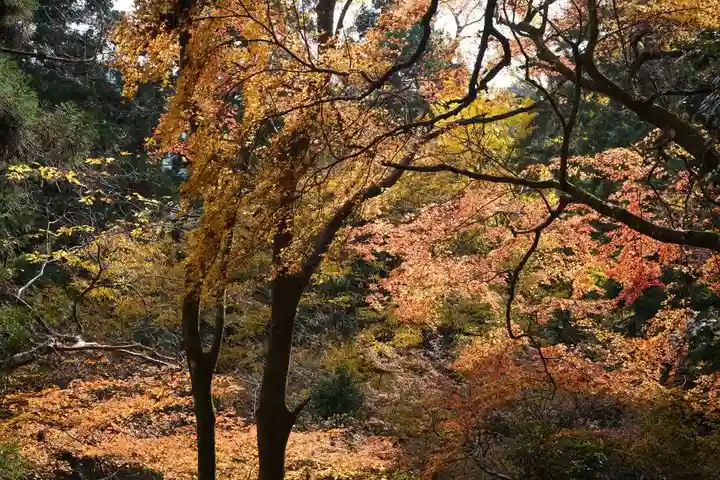 由岐神社(京都府)
