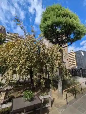 光明寺(東京都)