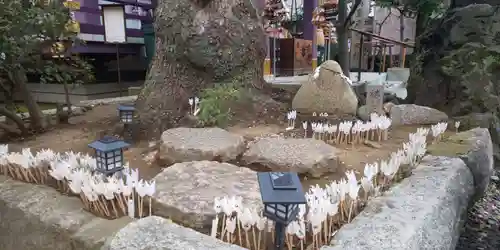 高木神社のおみくじ