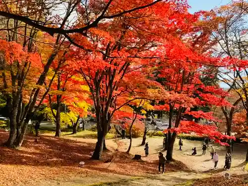 土津神社｜こどもと出世の神さまの景色