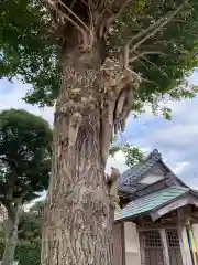 水神社(千葉県)