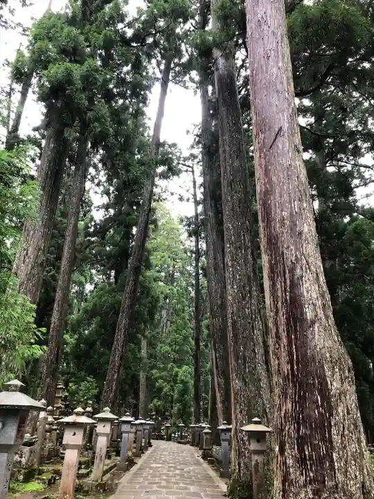 高野山金剛峯寺奥の院(和歌山県)
