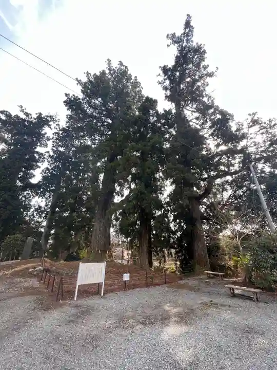 村山浅間神社(静岡県)