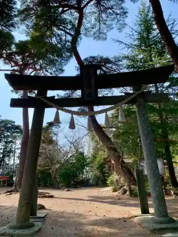 梅宮神社の{uncategorized: "未分類", other: "その他", undefined: "問題あり", building: "その他建物", grave: "お墓", sacred_gate: "鳥居", guardian: "狛犬", statue: "像", buddha: "仏像", history: "歴史", nature: "自然", garden: "庭園", animal: "動物", pagoda: "塔", temizu: "手水舎", mountain_gate: "山門・神門", sanctuary: "本殿・本堂", subordinate: "末社・摂社", art: "芸術", scenery: "景色", jizo: "地蔵", ema: "絵馬", goshuin: "御朱印", omikuji: "おみくじ", items: "授与品その他", amulet: "お守り", goshuincho: "御朱印帳", eats: "食事", festival: "お祭り", votive_dance: "神楽", shichigosan: "七五三参", wedding: "結婚式", experience: "体験その他", initially: "初詣", around: "周辺", anti_infection: "感染症対策"}