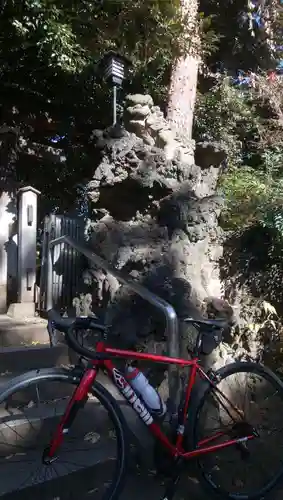 長崎神社の狛犬