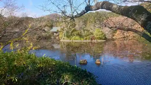 龍安寺の庭園