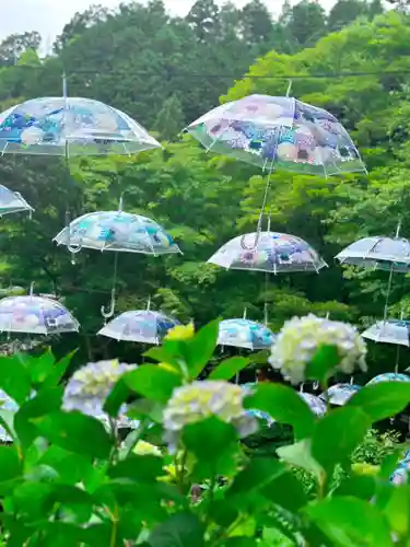 柳谷観音　楊谷寺(京都府)