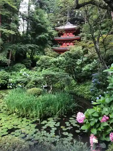 岩船寺の庭園