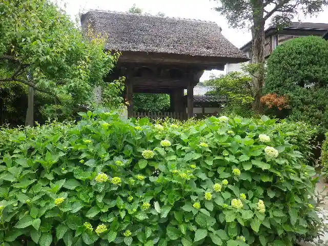 極楽寺(霊鷲山感應院極楽律寺)の山門・神門