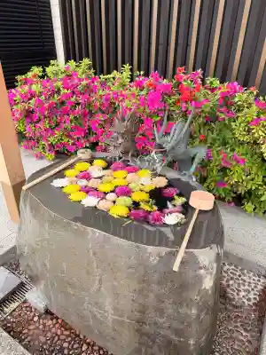 駒込妙義神社の{uncategorized: "未分類", other: "その他", undefined: "問題あり", building: "その他建物", grave: "お墓", sacred_gate: "鳥居", guardian: "狛犬", statue: "像", buddha: "仏像", history: "歴史", nature: "自然", garden: "庭園", animal: "動物", pagoda: "塔", temizu: "手水舎", mountain_gate: "山門・神門", sanctuary: "本殿・本堂", subordinate: "末社・摂社", art: "芸術", scenery: "景色", jizo: "地蔵", ema: "絵馬", goshuin: "御朱印", omikuji: "おみくじ", items: "授与品その他", amulet: "お守り", goshuincho: "御朱印帳", eats: "食事", festival: "お祭り", votive_dance: "神楽", shichigosan: "七五三参", wedding: "結婚式", experience: "体験その他", initially: "初詣", around: "周辺", anti_infection: "感染症対策"}