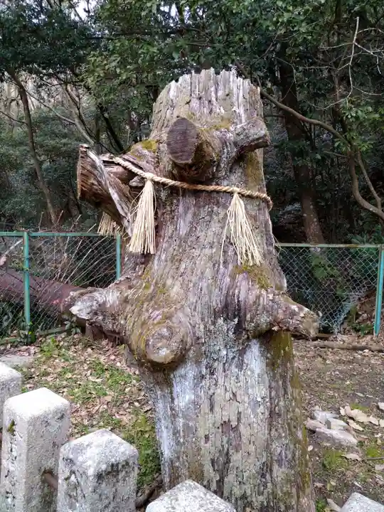 清荒神清澄寺(兵庫県)