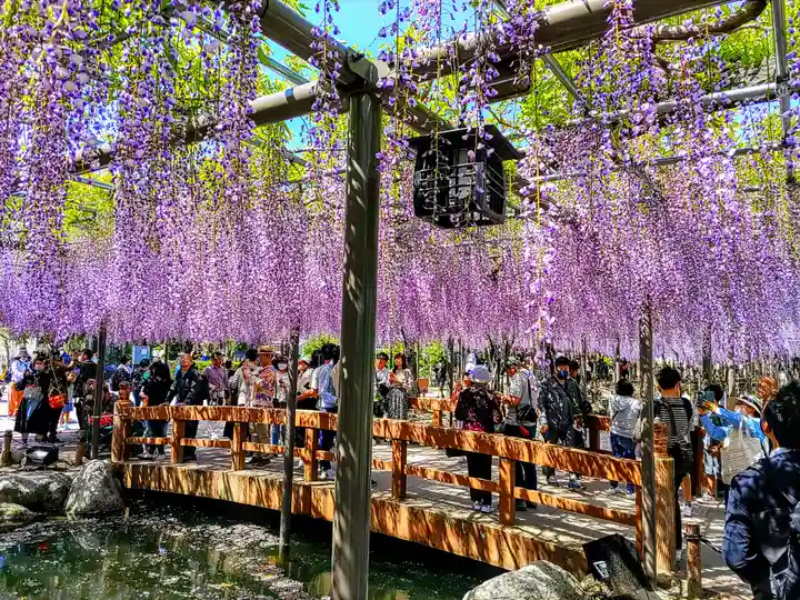 津島神社の周辺