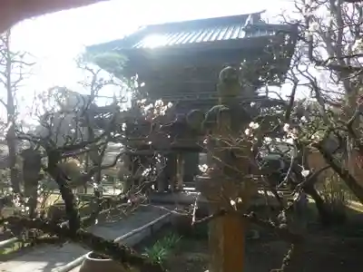 英勝寺の山門・神門