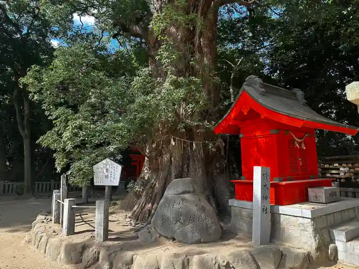一宮神社(愛媛県)