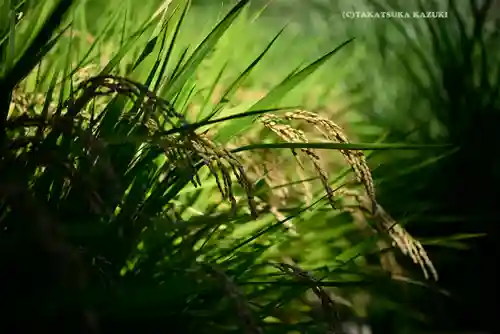 本牧神社(神奈川県)