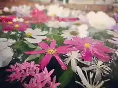 立志神社の手水