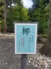 伊豆山神社(静岡県)