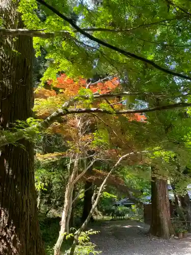 小國神社の{uncategorized: "未分類", other: "その他", undefined: "問題あり", building: "その他建物", grave: "お墓", sacred_gate: "鳥居", guardian: "狛犬", statue: "像", buddha: "仏像", history: "歴史", nature: "自然", garden: "庭園", animal: "動物", pagoda: "塔", temizu: "手水舎", mountain_gate: "山門・神門", sanctuary: "本殿・本堂", subordinate: "末社・摂社", art: "芸術", scenery: "景色", jizo: "地蔵", ema: "絵馬", goshuin: "御朱印", omikuji: "おみくじ", items: "授与品その他", amulet: "お守り", goshuincho: "御朱印帳", eats: "食事", festival: "お祭り", votive_dance: "神楽", shichigosan: "七五三参", wedding: "結婚式", experience: "体験その他", initially: "初詣", around: "周辺", anti_infection: "感染症対策"}
