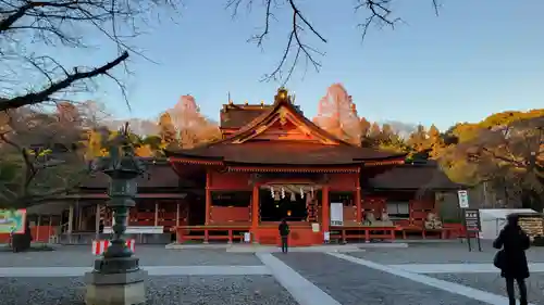 富士山本宮浅間大社(静岡県)